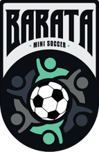 Barati Mini Soccer